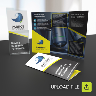 Brochures Double Sided (File Upload)